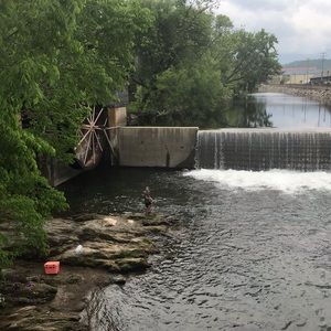 Meet your Posher, Charlee